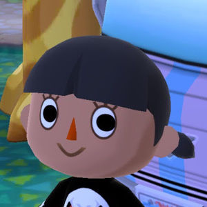 Meet your Posher, Lorenny